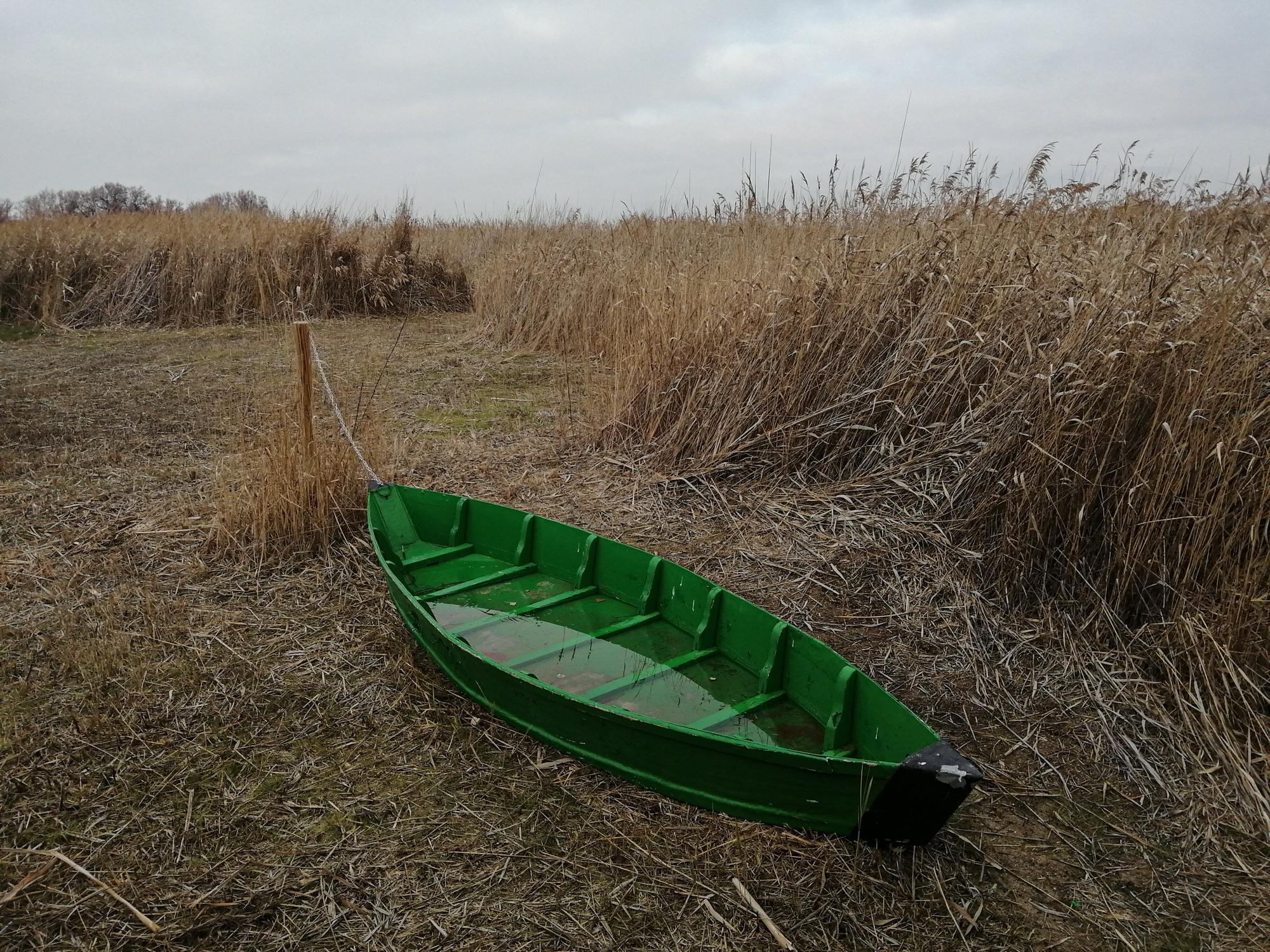 tablas de daimiel