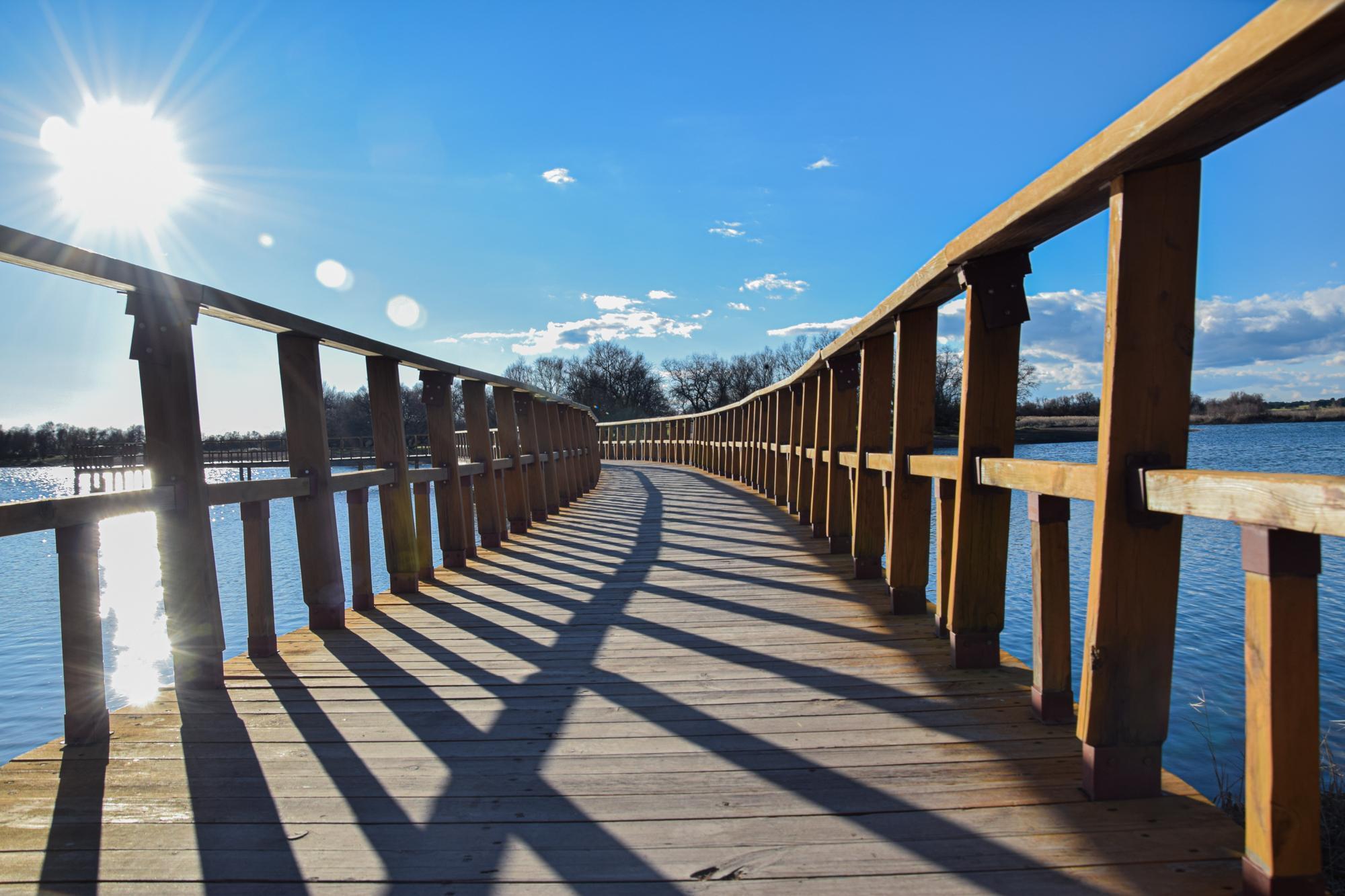 tablas de daimiel